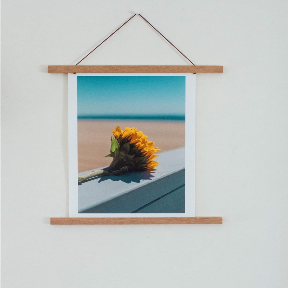 “Sun Searcher” - 11x14 Wall Art Print